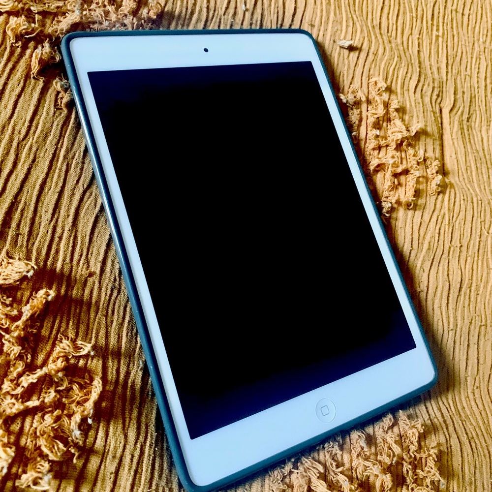 Ipad mini lightly used